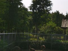 -上方山森林动物世界