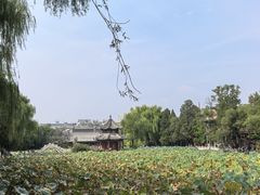 -莲池书院博物馆