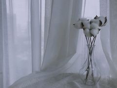 -HALF ORANGE 半个橙子