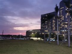 -宝安西湾红树林湿地公园