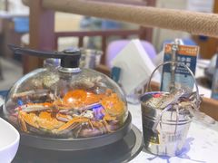 -半岛听涛蒸汽海鲜自助(K11店)