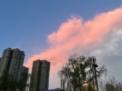 -刘一锅筋头巴脑(千峰路店)