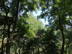 -玲珑塔公园