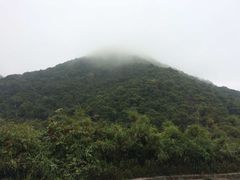 -狮子山郊野公园