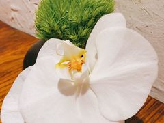 -铭家家宴·海鲜青岛菜·院子餐厅(燕岭路店)