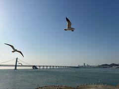-星海广场
