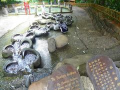 -成都市活水公园