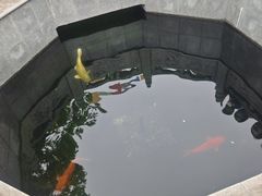 -西安市广仁寺