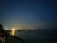 -合肥滨湖国家森林公园