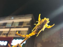 -王府井步行街