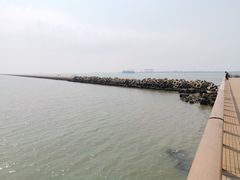 -东疆建设开发纪念公园