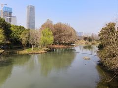 -尚贤河湿地