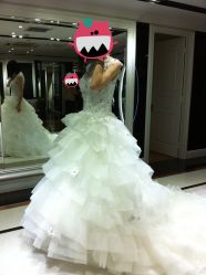第一套主纱&nbsp;蕾丝-韩国天使嫁衣婚纱礼服馆(上海旗舰店)