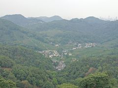 -龙井村
