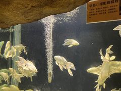 -南昌动物园