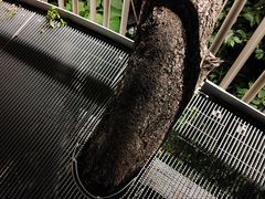 -福道