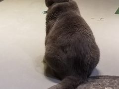 -小时光咖啡馆(开森度假森林店)