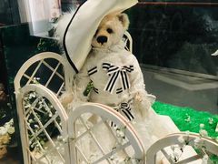 -济州岛泰迪熊博物馆