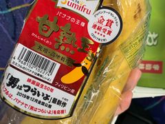 -富士山地震体验馆