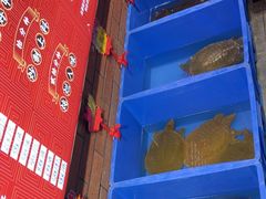 -状元甲·湖北甲鱼大王(汉口火车站店)