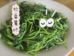 炒番薯叶-乡味海鲜农家菜·巽寮土窑鸡(地道美食店)