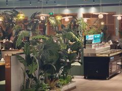 -春润大地海南椰子鸡(沙井京基百纳广场店)