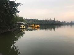 -湖边烧鸭