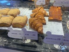 -TD66高山铁皮石斛养生茶饮