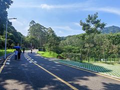 -黄埔油麻山森林公园