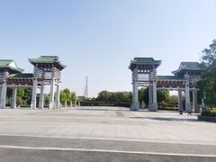 -王借岗森林公园