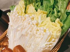 -同仁四季椰子鸡(宝安壹方城店)