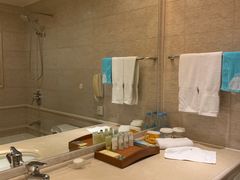 -上海南新雅大酒店