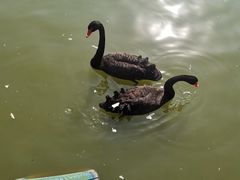 -无锡动物园·太湖欢乐园