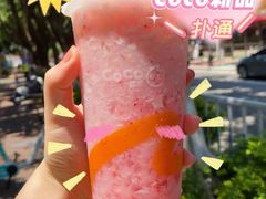 -CoCo都可(中闽嘉禾店)