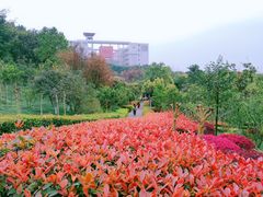 -西南政法大学(渝北校区)