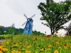 -铁山坪森林公园