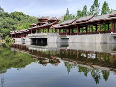 -重庆彩云湖湿地公园