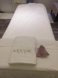 -奥斯芬欧系贵族SPA