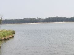 -西青郊野公园