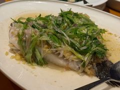 -广州富力君悦大酒店空中花园