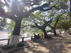 -江心屿景区