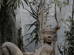 -上海辰山植物园