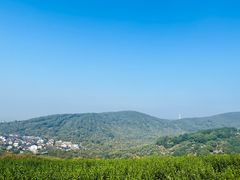 -苏州太湖国家湿地公园