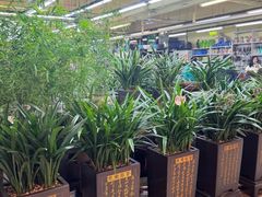 -长春青怡坊鲜花批发(青怡坊花鸟市场店)
