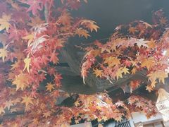 -牛小喜黑牛烤肉料理(霸州店)