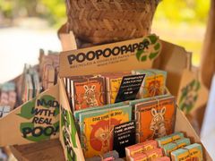 -大象粑粑造纸公园