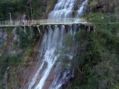 -九龙江国家森林公园