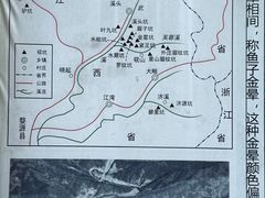 -老胡开文墨厂