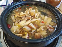 -蘑统田下·野生菌火锅