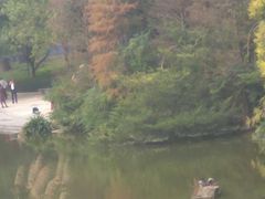 -云溪植物园